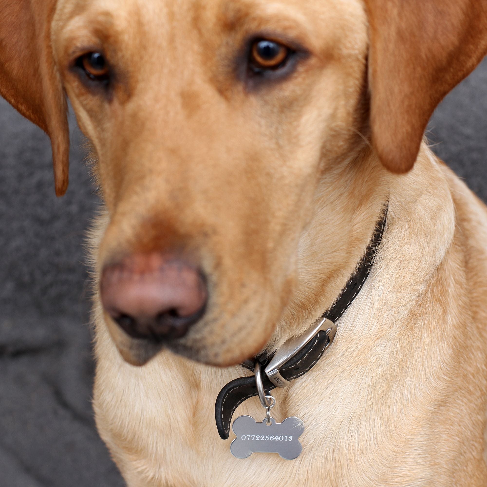 Personalised Bone Shaped Dog ID Tag